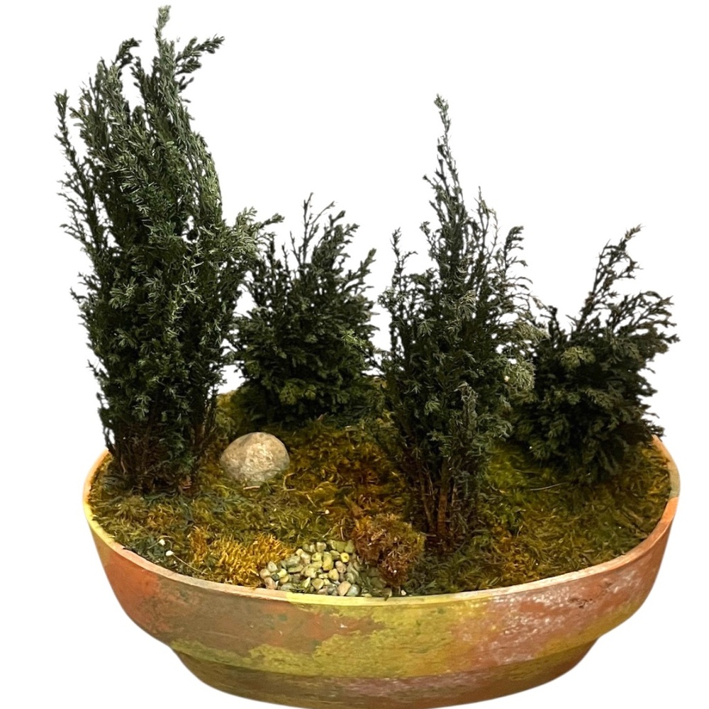 FOREVER GREEN ART‎ Potted Quartet Mini Cypress Tree In Oval Terra Cotta Planter